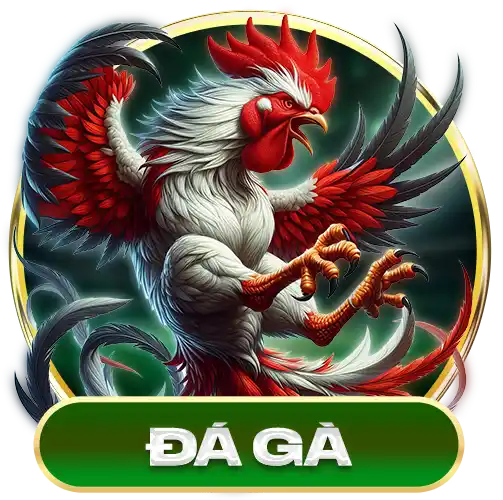 HB88 Đá gà